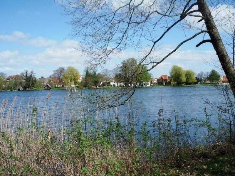 Dargun Ferienhaus Paul Am Klostersee, Urlaub Mit Hund מראה חיצוני תמונה